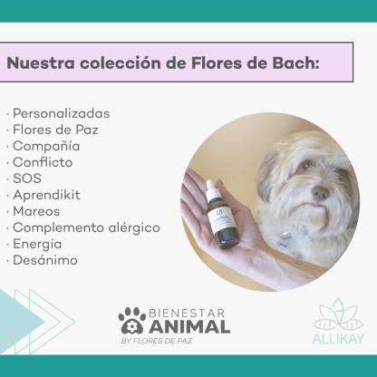 Terapia floral para animales de compañía (Flores de Paz)